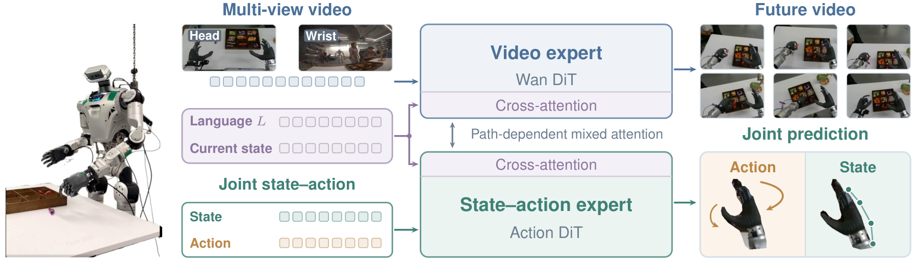 HWAM architecture with multi-view video, language, current state, video expert, state-action expert, and joint prediction